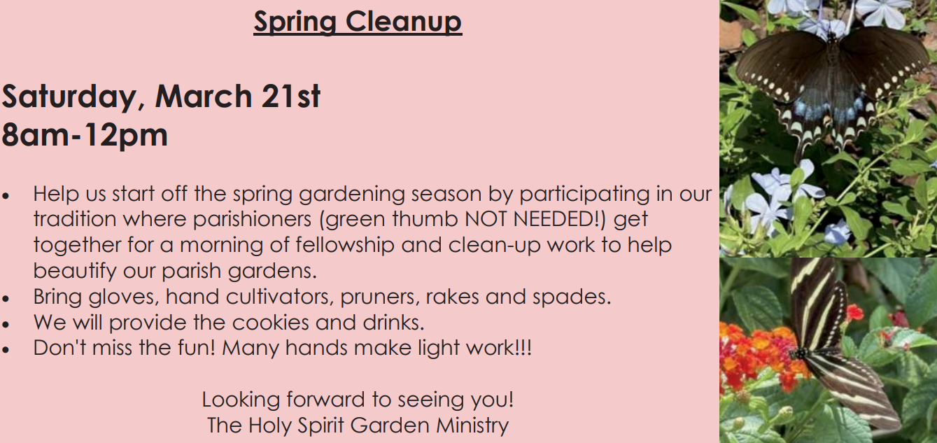 SpringCleanup