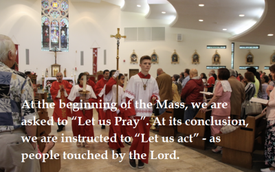 A WALK THROUGH THE MASS: A STEP-BY-STEP EXPLANATION – 5