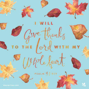 Thanksgiving Day Mass - 26 November